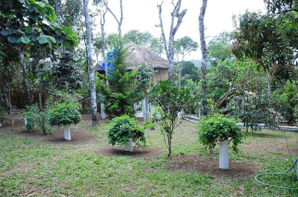 Green Ark Resorts Thekkady Buitenkant foto